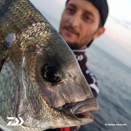 Fan gallery #2854