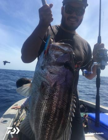 Fan gallery #2375