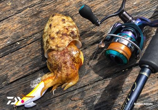 Fan gallery #2747