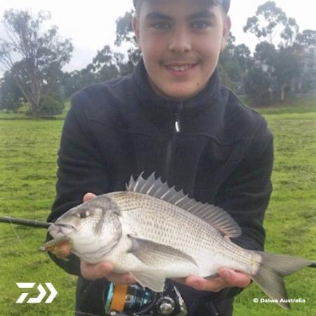 Fan gallery #3575