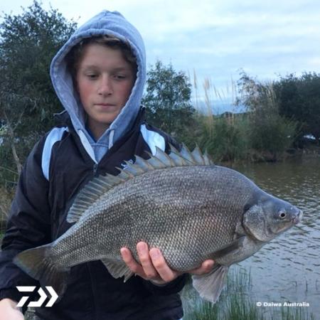 Fan gallery #910