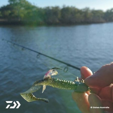 Fan gallery #3491