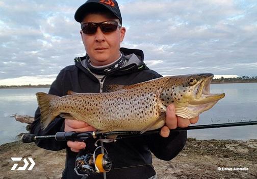 Fan gallery #3408
