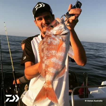 Fan gallery #2476
