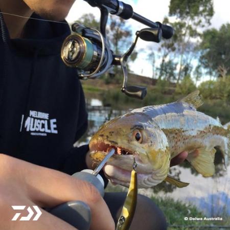 Fan gallery #2287