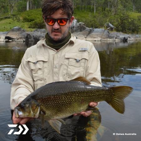 Fan gallery #2250