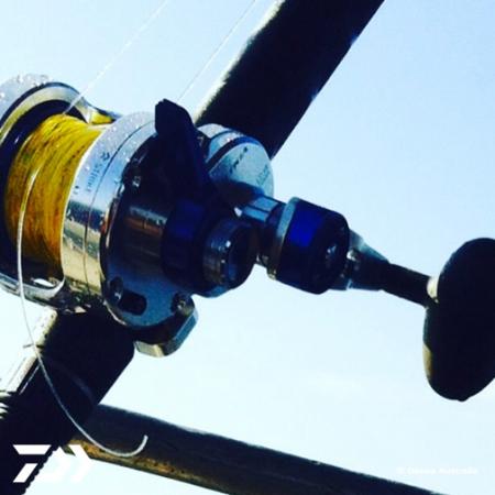 Fan gallery #2936