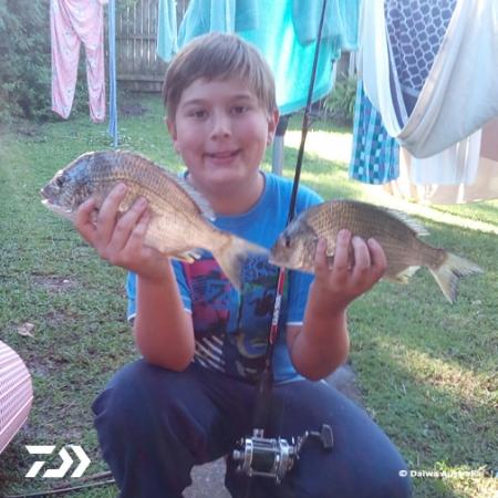 Fan gallery #2801