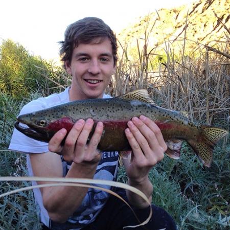 Fan gallery #2910
