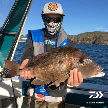 Fan gallery #2845