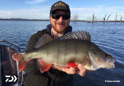 Fan gallery #2807