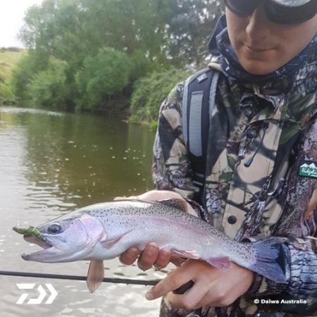 Fan gallery #901