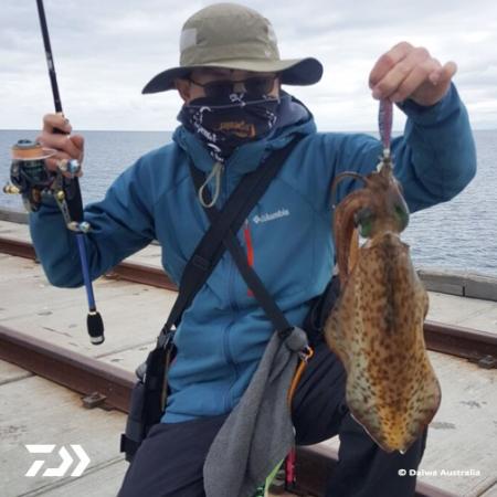 Fan gallery #674