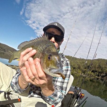 Fan gallery #2210