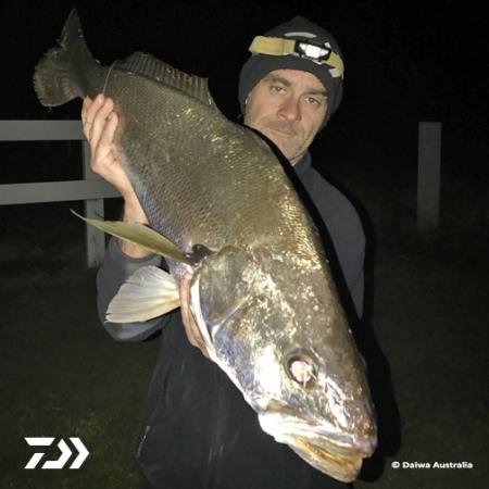 Fan gallery #2525