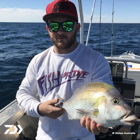Fan gallery #2498