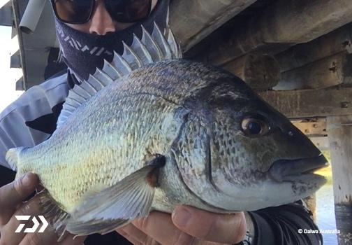 Fan gallery #2258