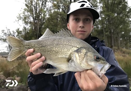Fan gallery #3580