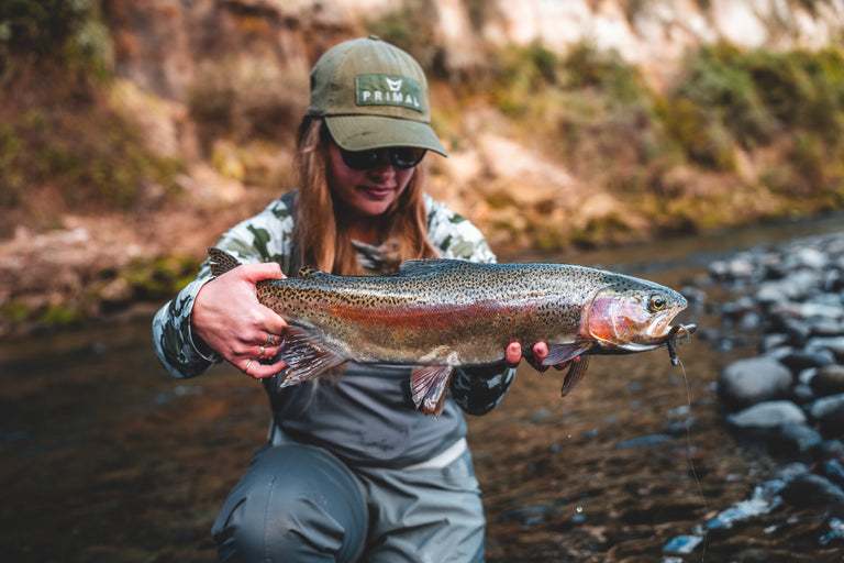 Meet The Crew | Cate Lee
