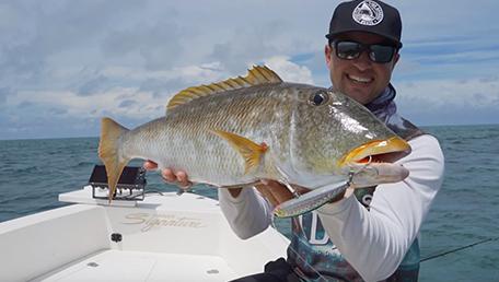 Shore Spartan Lures
