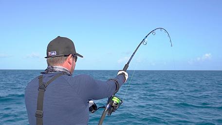 Spartan Rods