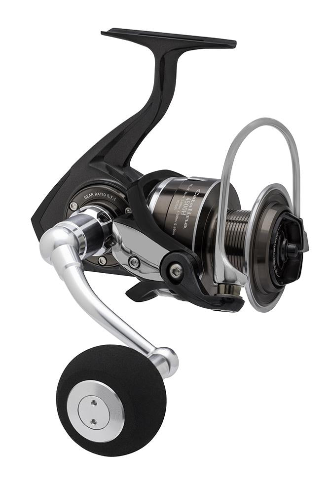 Image Resource saltwater-shore-game-reels – Tagged 