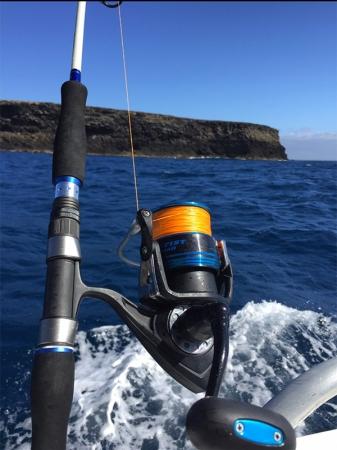 Fan gallery #2230