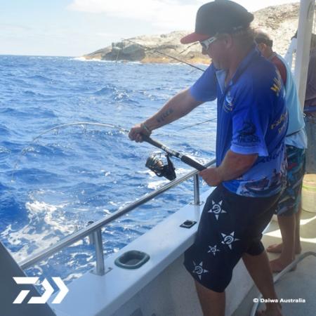 Fan gallery #2273