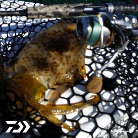Fan gallery #2584
