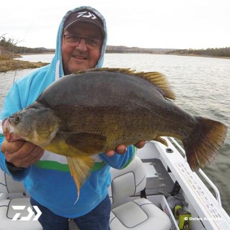 Fan gallery #2203