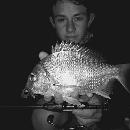 Fan gallery #2536