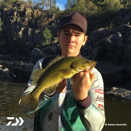 Fan gallery #2781