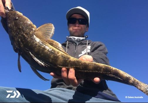 Fan gallery #923