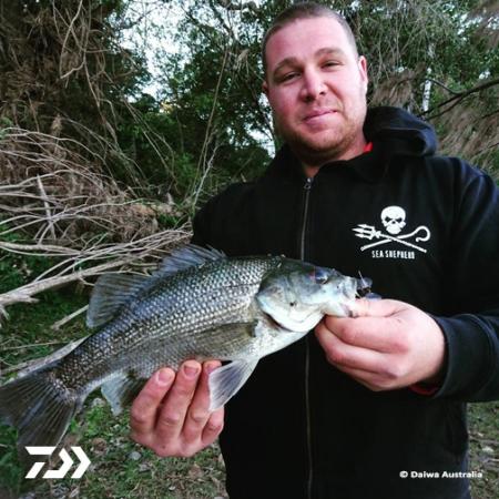 Fan gallery #2508