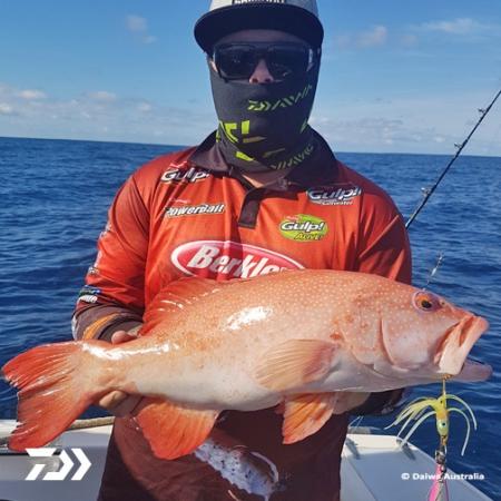 Fan gallery #2469