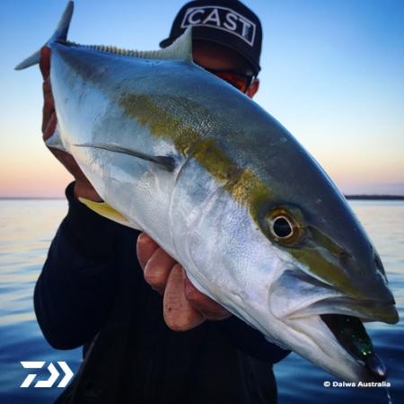 Fan gallery #2128