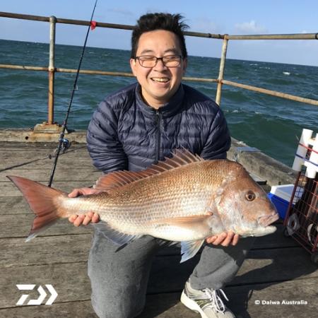 Fan gallery #686