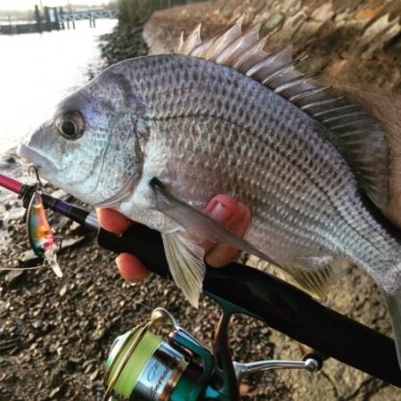 Fan gallery #2607