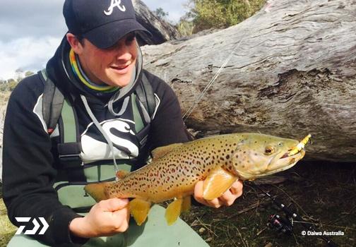 Fan gallery #2516