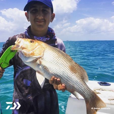 Fan gallery #695