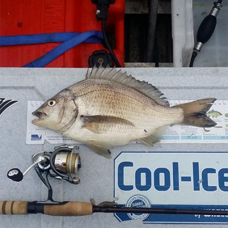 Fan gallery #2545