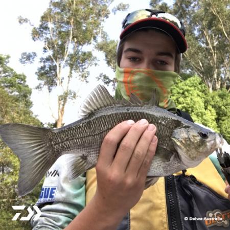 Fan gallery #899