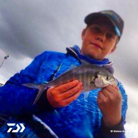 Fan gallery #2641