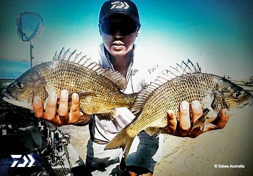 Fan gallery #3081