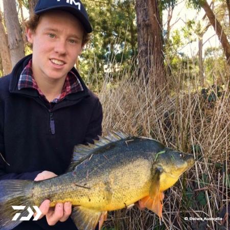 Fan gallery #2202