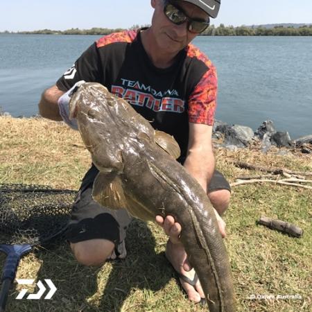 Fan gallery #2526