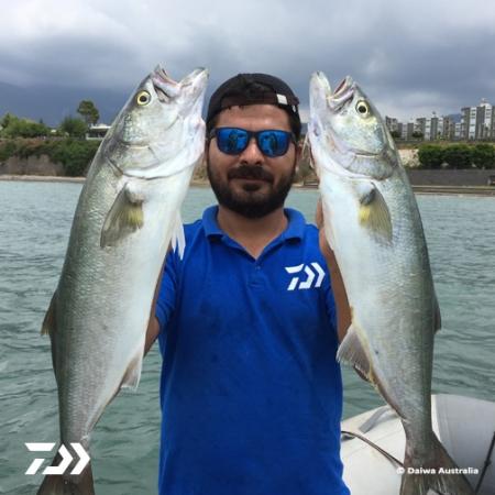 Fan gallery #2819