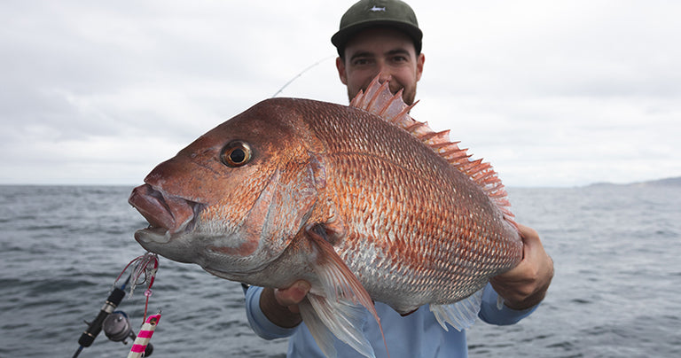 HAURAKI GULF FISHING OCTOBER 2018