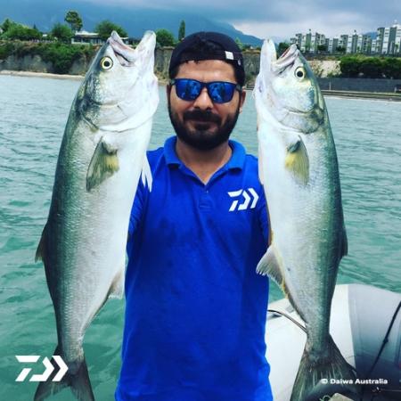 Fan gallery #919