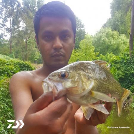 Fan gallery #2369